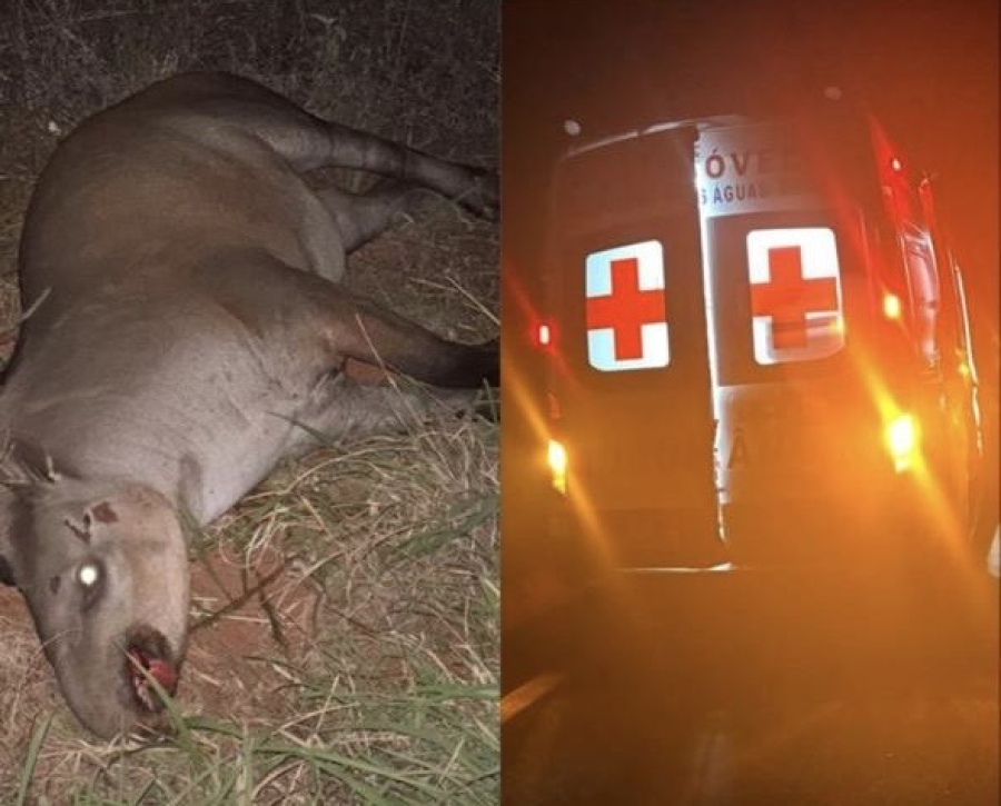 acidente ambhulancia paaiso