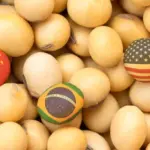 Soja cai mais de 1% em Chicago nesta 2ª feira