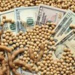 Soja opera em leve alta na Bolsa de Chicago nesta 5ª