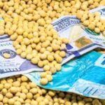 Calor no Corn Belt acende alerta e soja dispara quase 3% em Chicago nesta 2ª feira