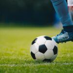 Apostas esportivas e a diversidade de modalidades