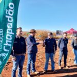 Dia de campo da Fundação Chapadão mostra potencial do milho safrinha