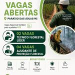 Oportunidade de emprego em Paraíso das Águas