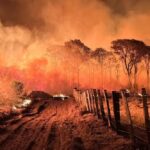 Mato Grosso do Sul decreta emergência ambiental por risco de incêndios florestais