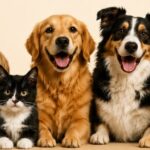 Chapadão do Sul realiza audiência pública para discutir políticas voltadas à causa animal