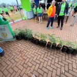 Semana do Meio Ambiente mobiliza comunidade e fortalece ações de sustentabilidade em Chapadão do Sul
