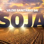 Atenção, produtores rurais de Goiás! Vazio sanitário da soja começa no próximo dia 27