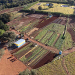 Vice-presidente Magno Almeida apresenta propostas para fortalecer a agricultura familiar e apoiar produtores rurais de Costa Rica