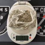 Passageiro é preso com maconha em ônibus intermunicipal no Terminal Rodoviário de Chapadão do Sul