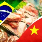 ACABOU!! Fim da cota da China pode levar setor produtor de carne a entrar em colapso