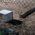 Choque invade festa feita para comemorar fuga de bandidos e recaptura foragido em Campo Grande