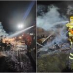 Mais de 50 bezerros morrem queimados após caminhão pegar fogo na GO-112; vídeo
