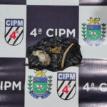 PM de Chapadão do Sul apreende porções de maconha durante abordagem em estabelecimento comercial