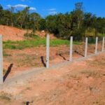 Rodovia MS-436 recebe corredor ecológico para proteção da fauna