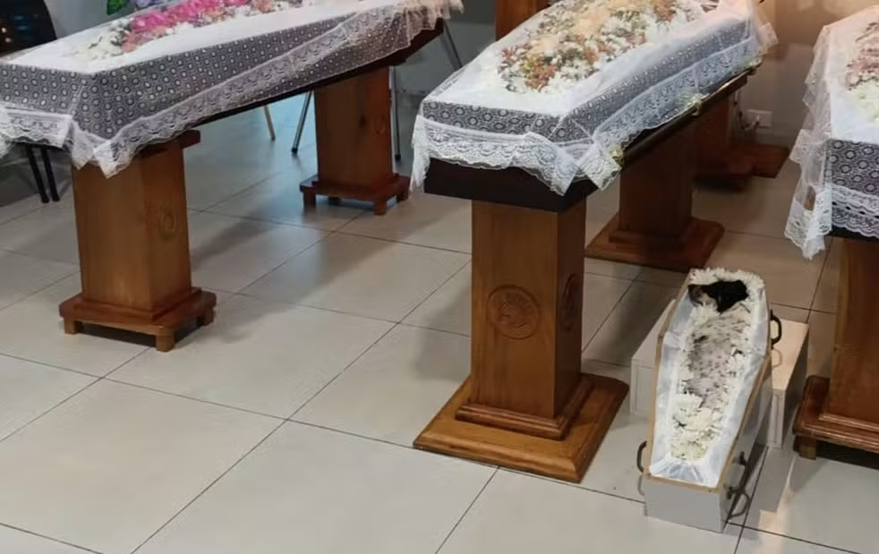 Pai, filhas e cachorrinho são velados lado a lado em Bela Vista (MS). — Foto: Arquivo pessoal/Reprodução