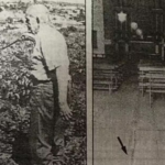 Crime e pena de morte: conheça a história do último homem livre condenado à forca no Brasil