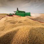 Soja em MS exige 42 sacas por hectare para cobrir custo na safra 2026/27