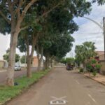 Pedido de moradores vira ação e Avenida E será interditada para poda de árvores em Chapadão do Sul