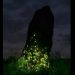Bioluminescência transforma noites no Parque Nacional das Emas em espetáculo da natureza