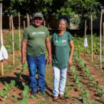 Casal abandona o fiado e melhora a renda com horta em Cassilândia