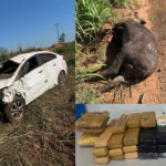 Homem natural de Cassilândia morre após carro bater em anta na GO-341; cerca de 30 tabletes de drogas são encontrados
