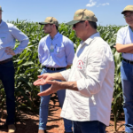 Copasul participa de agenda técnica do Plano ABC+ com foco em sustentabilidade e produtividade no campo