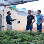 Parceria entre Prefeitura e Sanesul incentiva arborização urbana em Chapadão do Sul